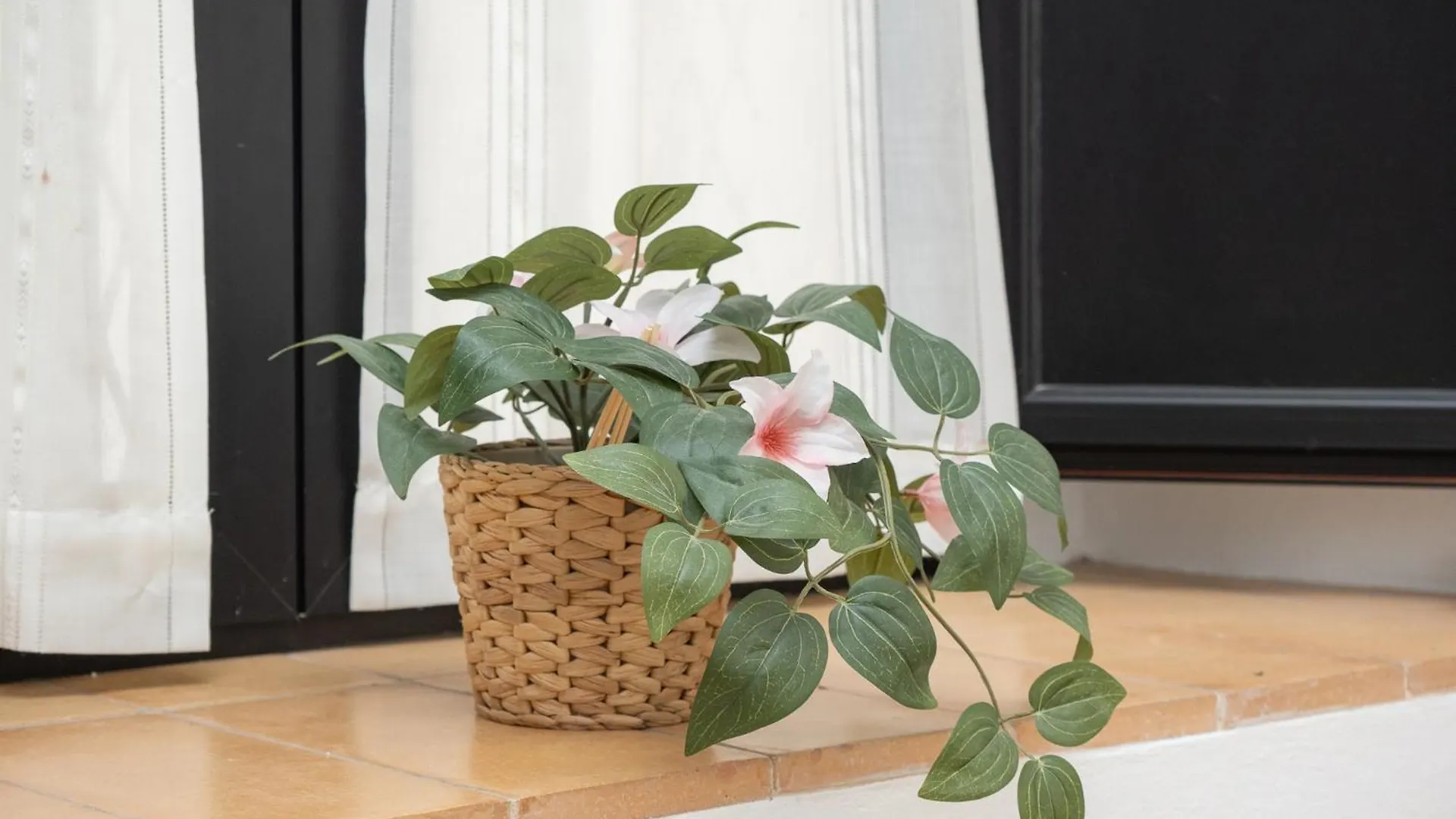 Apartment El Anfitrion - Palacio XVIII Sanlucar de Barrameda